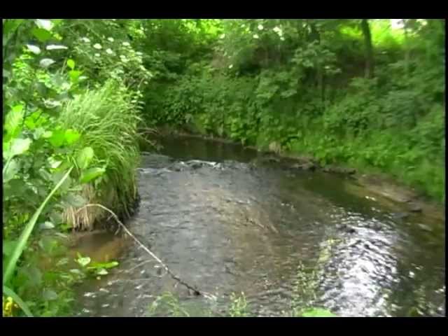 Lubocz – rzeka Luboczanka