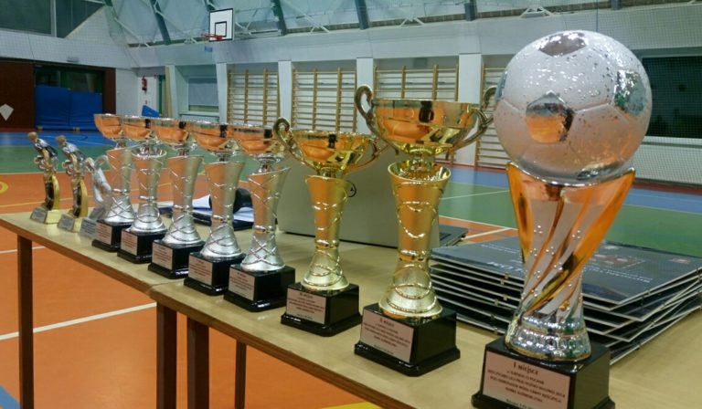 Turniejem o Puchar Rzeczyckiej Ligi Piłki Nożnej Halowej zakończyliśmy sezon halowy 2017/2018 w Rzeczycy